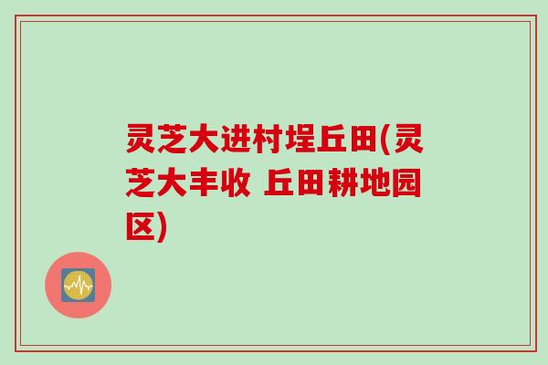 灵芝大进村埕丘田(灵芝大丰收 丘田耕地园区)