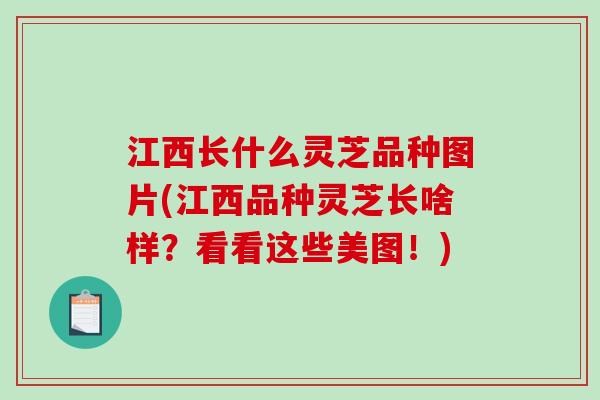 江西长什么灵芝品种图片(江西品种灵芝长啥样？看看这些美图！)