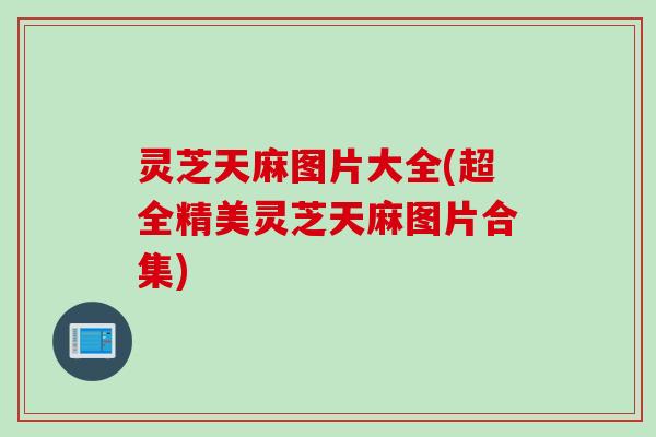 灵芝天麻图片大全(超全精美灵芝天麻图片合集)