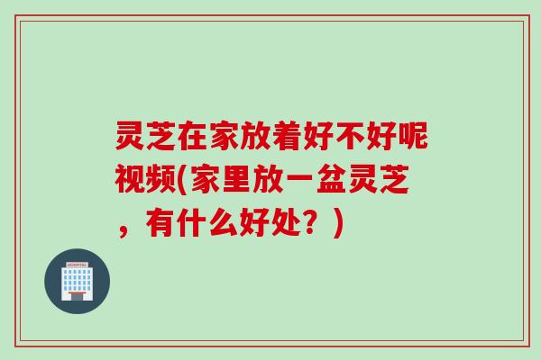 灵芝在家放着好不好呢视频(家里放一盆灵芝，有什么好处？)