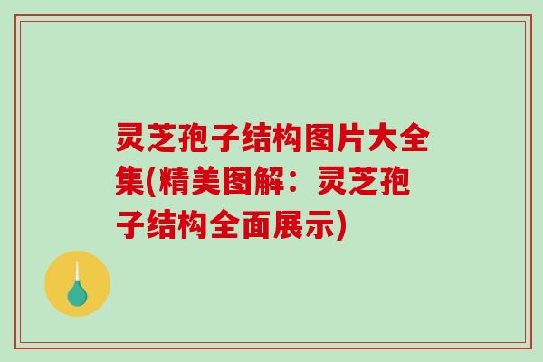 灵芝孢子结构图片大全集(精美图解：灵芝孢子结构全面展示)