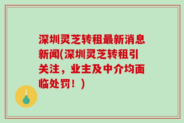 深圳灵芝转租最新消息新闻(深圳灵芝转租引关注，业主及中介均面临处罚！)