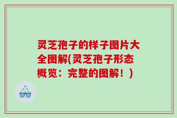 灵芝孢子的样子图片大全图解(灵芝孢子形态概览：完整的图解！)