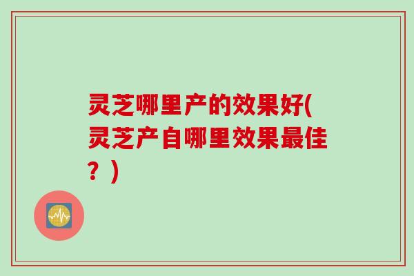 灵芝哪里产的效果好(灵芝产自哪里效果最佳？)
