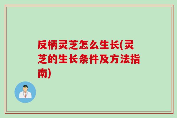 反柄灵芝怎么生长(灵芝的生长条件及方法指南)