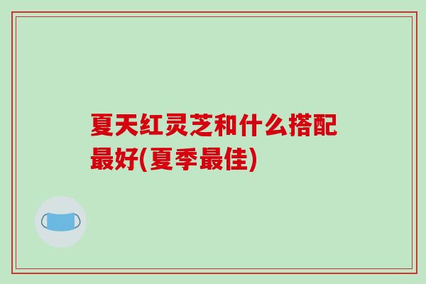 夏天红灵芝和什么搭配最好(夏季最佳)