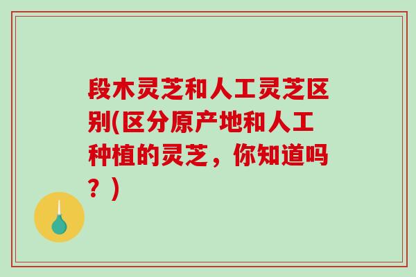 段木灵芝和人工灵芝区别(区分原产地和人工种植的灵芝，你知道吗？)