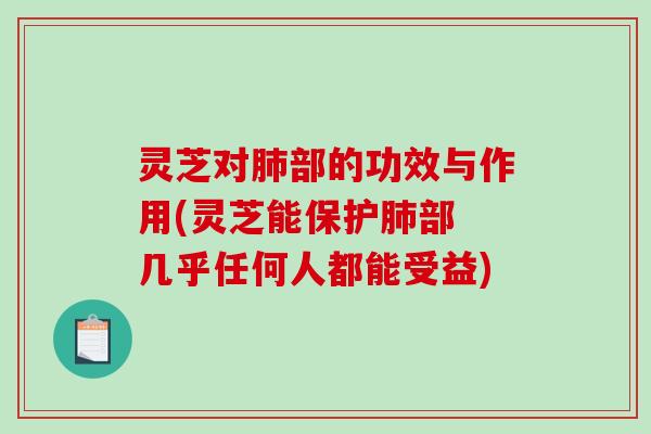 灵芝对肺部的功效与作用(灵芝能保护肺部 几乎任何人都能受益)