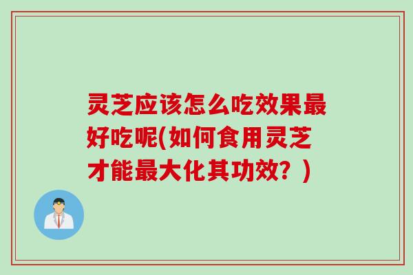 灵芝应该怎么吃效果最好吃呢(如何食用灵芝才能最大化其功效？)