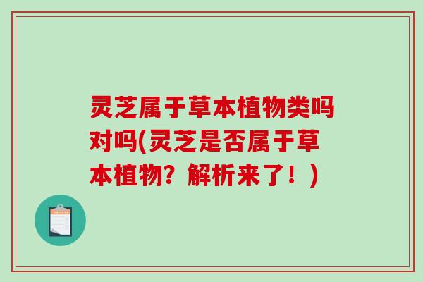 灵芝属于草本植物类吗对吗(灵芝是否属于草本植物？解析来了！)