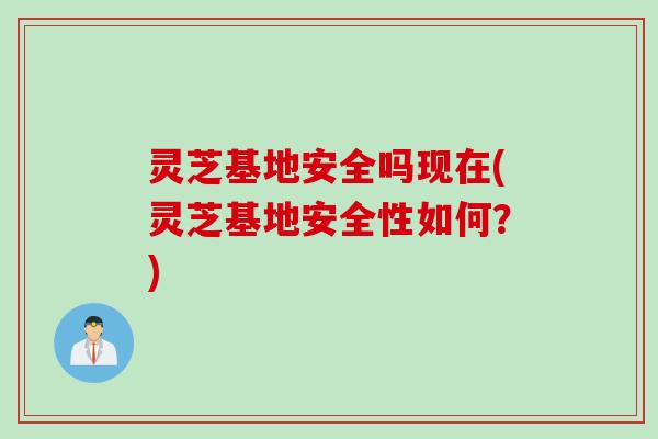 灵芝基地安全吗现在(灵芝基地安全性如何？)