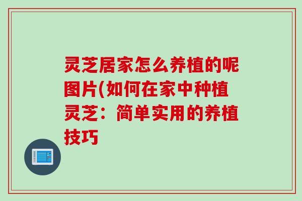 灵芝居家怎么养植的呢图片(如何在家中种植灵芝：简单实用的养植技巧