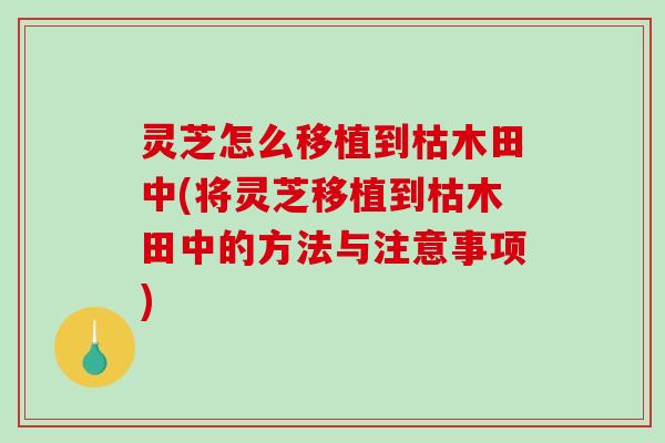 灵芝怎么移植到枯木田中(将灵芝移植到枯木田中的方法与注意事项)