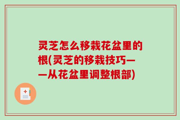 灵芝怎么移栽花盆里的根(灵芝的移栽技巧——从花盆里调整根部)