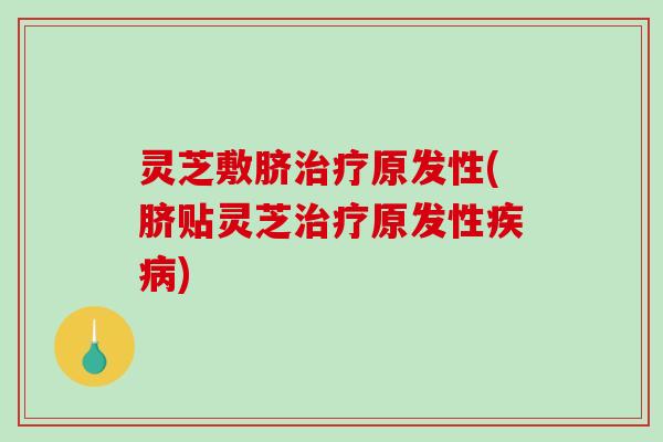 灵芝敷脐治疗原发性(脐贴灵芝治疗原发性疾病)