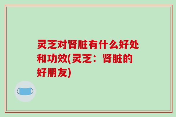 灵芝对肾脏有什么好处和功效(灵芝：肾脏的好朋友)