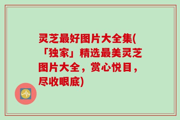 灵芝最好图片大全集(「独家」精选最美灵芝图片大全，赏心悦目，尽收眼底)