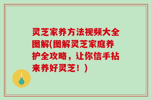 灵芝家养方法视频大全图解(图解灵芝家庭养护全攻略，让你信手拈来养好灵芝！)