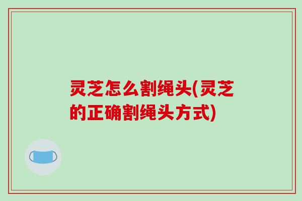 灵芝怎么割绳头(灵芝的正确割绳头方式)