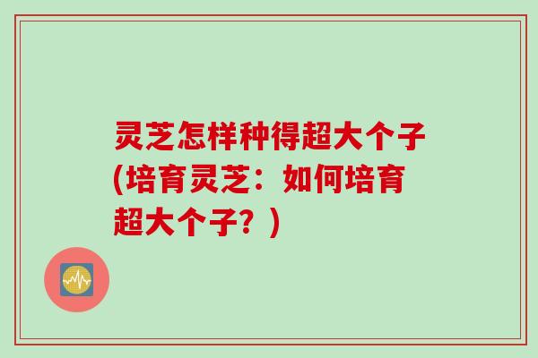 灵芝怎样种得超大个子(培育灵芝：如何培育超大个子？)