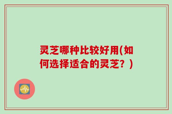 灵芝哪种比较好用(如何选择适合的灵芝？)