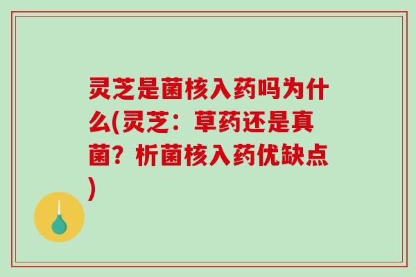 灵芝是菌核入药吗为什么(灵芝：草药还是真菌？析菌核入药优缺点)