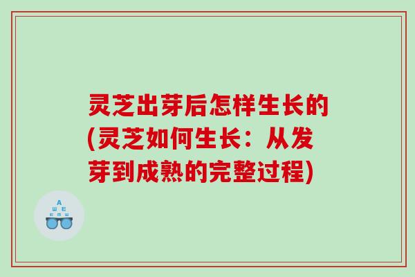 灵芝出芽后怎样生长的(灵芝如何生长：从发芽到成熟的完整过程)