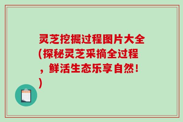 灵芝挖掘过程图片大全(探秘灵芝采摘全过程，鲜活生态乐享自然！)