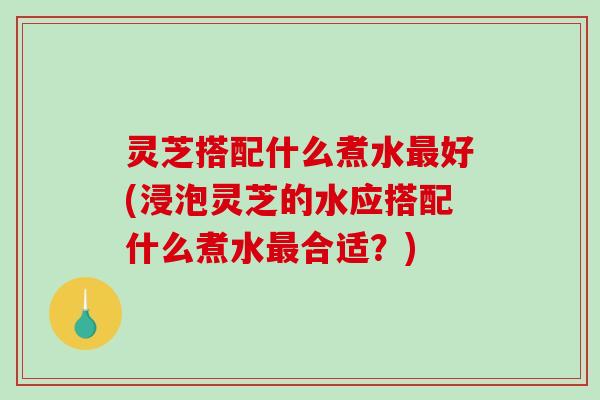 灵芝搭配什么煮水最好(浸泡灵芝的水应搭配什么煮水最合适？)