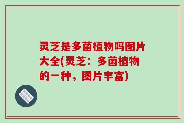 灵芝是多菌植物吗图片大全(灵芝：多菌植物的一种，图片丰富)