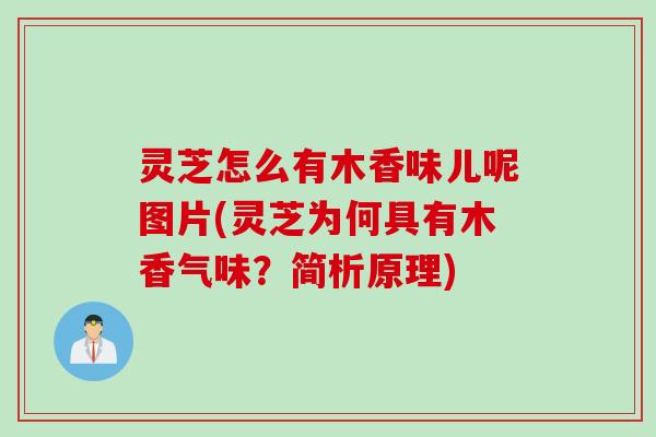 灵芝怎么有木香味儿呢图片(灵芝为何具有木香气味？简析原理)