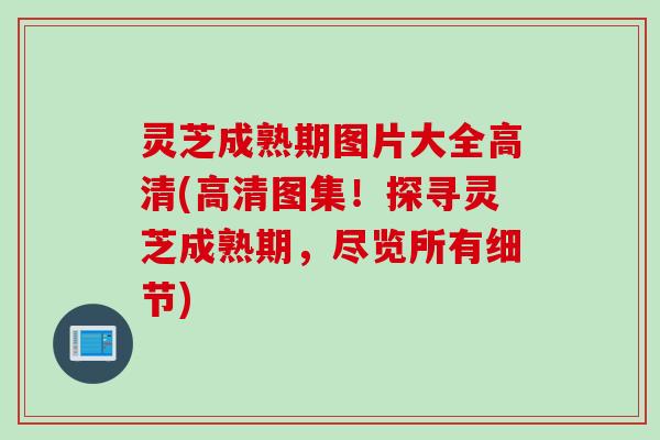 灵芝成熟期图片大全高清(高清图集！探寻灵芝成熟期，尽览所有细节)