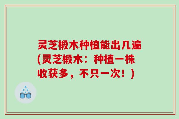 灵芝椴木种植能出几遍(灵芝椴木：种植一株收获多，不只一次！)