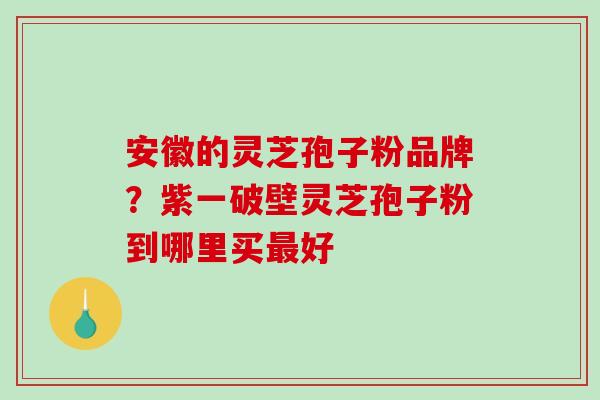 安徽的灵芝孢子粉品牌？紫一破壁灵芝孢子粉到哪里买最好