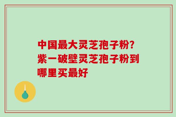 中国最大灵芝孢子粉？紫一破壁灵芝孢子粉到哪里买最好
