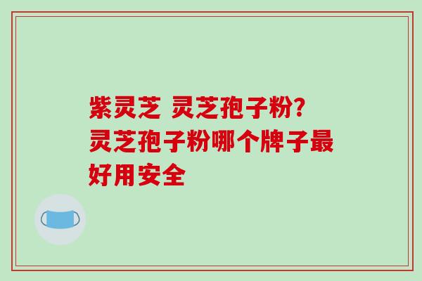 紫灵芝 灵芝孢子粉？灵芝孢子粉哪个牌子最好用安全