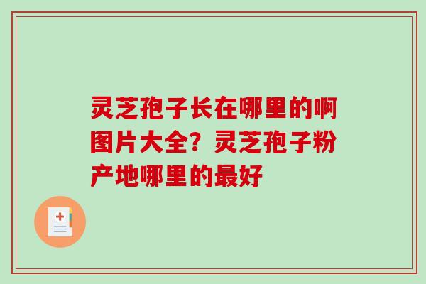 灵芝孢子长在哪里的啊图片大全？灵芝孢子粉产地哪里的最好