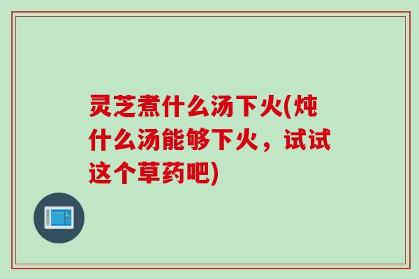 灵芝煮什么汤下火(炖什么汤能够下火，试试这个草药吧)