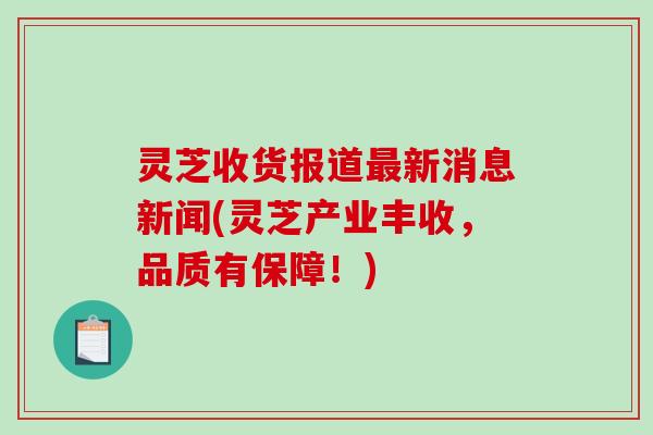 灵芝收货报道新消息新闻(灵芝产业丰收，品质有保障！)