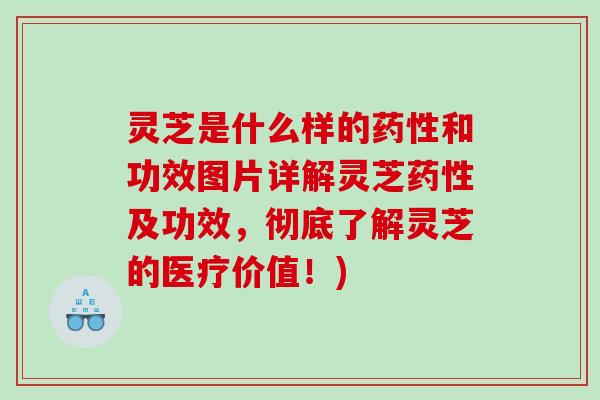 灵芝是什么样的和功效图片详解灵芝及功效，彻底了解灵芝的医疗价值！)