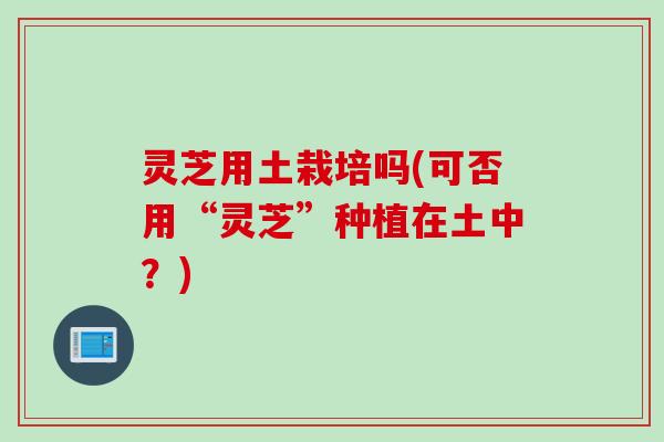 灵芝用土栽培吗(可否用“灵芝”种植在土中？)