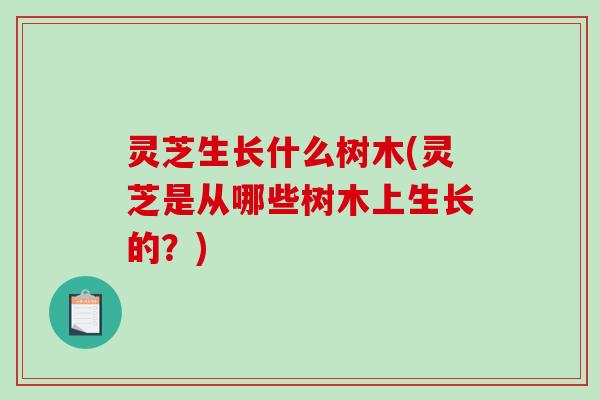 灵芝生长什么树木(灵芝是从哪些树木上生长的？)