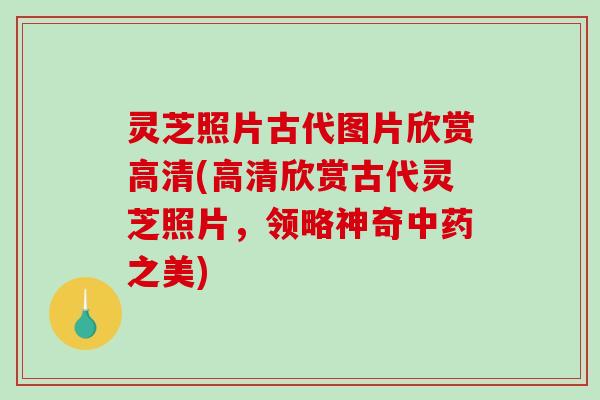灵芝照片古代图片欣赏高清(高清欣赏古代灵芝照片，领略神奇之美)