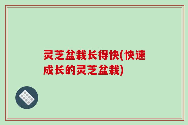 灵芝盆栽长得快(快速成长的灵芝盆栽)