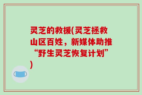 灵芝的救援(灵芝拯救山区百姓，新媒体助推“野生灵芝恢复计划”)