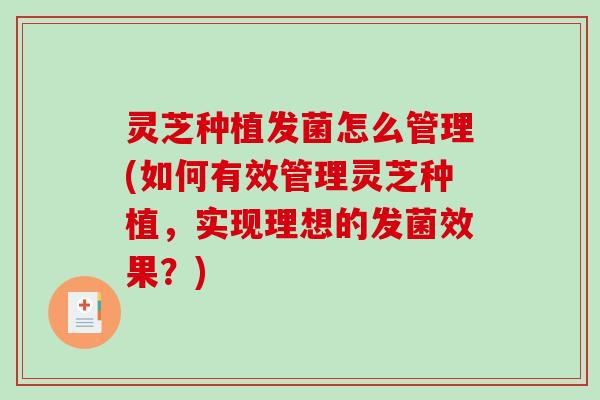 灵芝种植发菌怎么管理(如何有效管理灵芝种植，实现理想的发菌效果？)