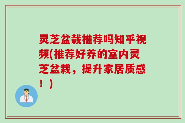 灵芝盆栽推荐吗知乎视频(推荐好养的室内灵芝盆栽，提升家居质感！)