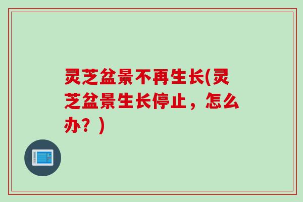 灵芝盆景不再生长(灵芝盆景生长停止，怎么办？)
