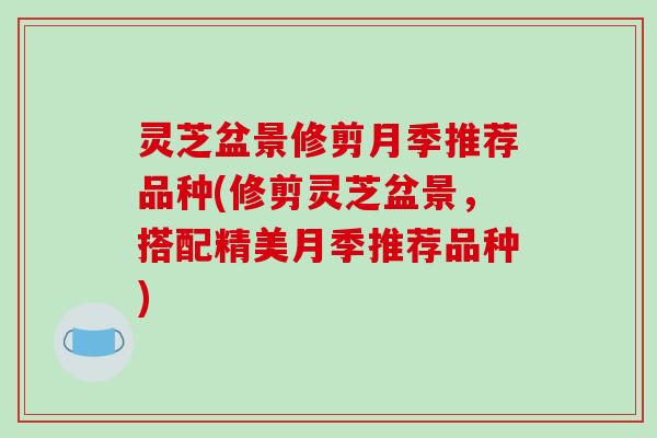 灵芝盆景修剪月季推荐品种(修剪灵芝盆景，搭配精美月季推荐品种)