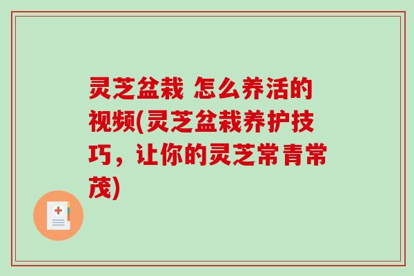 灵芝盆栽 怎么养活的视频(灵芝盆栽养护技巧，让你的灵芝常青常茂)